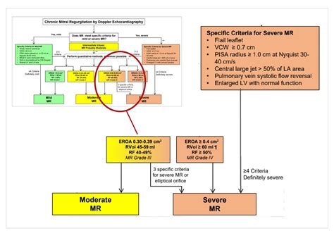 grading mr severity with echo